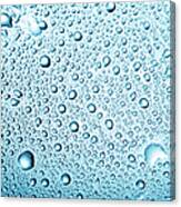 Water Drops Background #1 Canvas Print