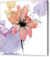 Watercolor Graphite Flower Ii #1 Canvas Print