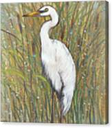 White Egret I #1 Canvas Print