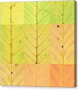 Swatches - Autumn Leaves Inspired By Gerhard Richter #12 Canvas Print