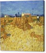 Corn Harvest In Provence Canvas Print
