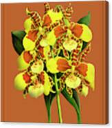 Orchid Vintage Print On Tinted Paperboard #137 Canvas Print