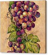 13932 Vintage Grapevine Ii Canvas Print