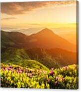 Rhododendron Flowers Covered Mountains #14 Canvas Print