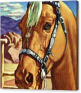 Horse #15 Canvas Print