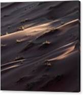 Details Of A Sand Dune In Namibia #2 Canvas Print