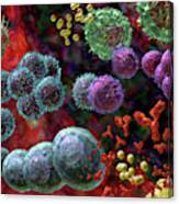 Immune Response Antibody 4 #2 Canvas Print