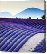 Lavender Field In Provence France #2 Canvas Print