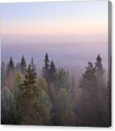 Morning Fog And Sunrise In Torronsuo #2 Canvas Print