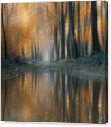 The Woods #2 Canvas Print