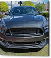 2017 Ford Mustang 5.0 100 Canvas Print