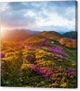 Rhododendron Flowers Covered Mountains #28 Canvas Print