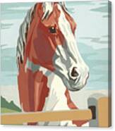 Horse #29 Canvas Print