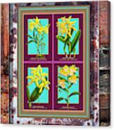 Antique Orchids Quatro On Rusted Metal And Weathered Wood Plank #297 Canvas Print