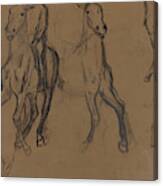 Study Of Horses Canvas Print