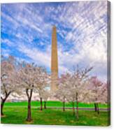 Washington Dc, Usa In Spring Season #3 Canvas Print