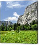 Yosemite National Park, Usa #3 Canvas Print