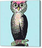 Owl #30 Canvas Print