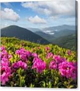 Rhododendron Flowers Covered Mountains #32 Canvas Print
