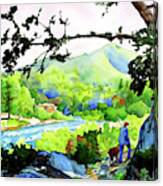 #328 Lotus Park Trail #328 Canvas Print