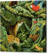 364 Rainforest Canvas Print