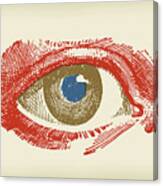 Closeup Of An Eye #4 Canvas Print