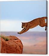 Mountain Lion #4 Canvas Print