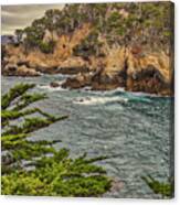 Point Lobos, Carmel, California #4 Canvas Print