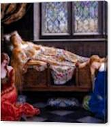 The Sleeping Beauty #4 Canvas Print