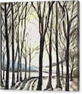 Winter Wood Canvas Print