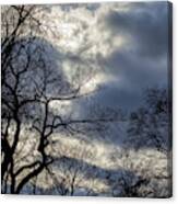 Dramatic Trees Sky And Clouds #5 Canvas Print