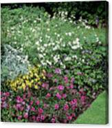 Garden Border #5 Canvas Print