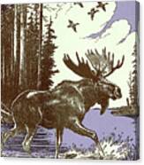 Moose #5 Canvas Print