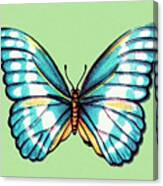 Butterfly #6 Canvas Print