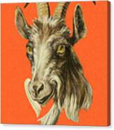 Goat #9 Canvas Print