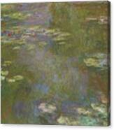 Water Lily Pond Canvas Print