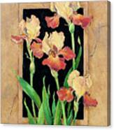 9746 Framed Iris Canvas Print