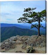 A Blue View From Ravens Roost Canvas Print
