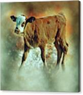 A Calf Roaming On The Side Of The Road J7 Canvas Print