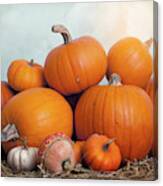 A Collection Of Pumpkins Against The Sky Canvas Print