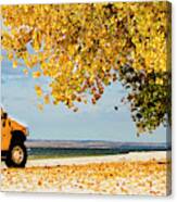 A Day For Yellow Canvas Print