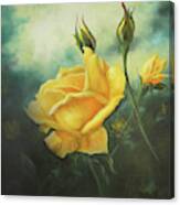 Yellow Friendship Rose Canvas Print