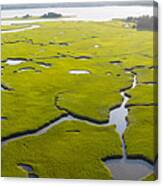 A Healthy Salt Marsh Grows In Pleasant Canvas Print