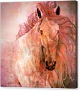 A Horse Of A Different Color Canvas Print