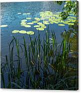 A Lake Near Sweita Lipka, Northern Poland Canvas Print