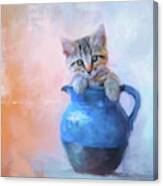 A Pitcher Full Of Purrfection Canvas Print