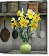 A Place For Daffodils Canvas Print