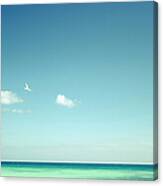 A Seascape Beach On A Clear Day Canvas Print