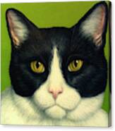 A Serious Cat Canvas Print