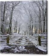 A Snowy Scene Canvas Print